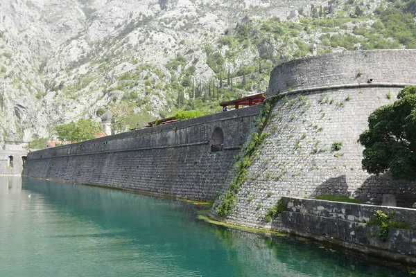 Vedere Șanțului Cetății Kotor Muntenegru — Fotografie, imagine de stoc