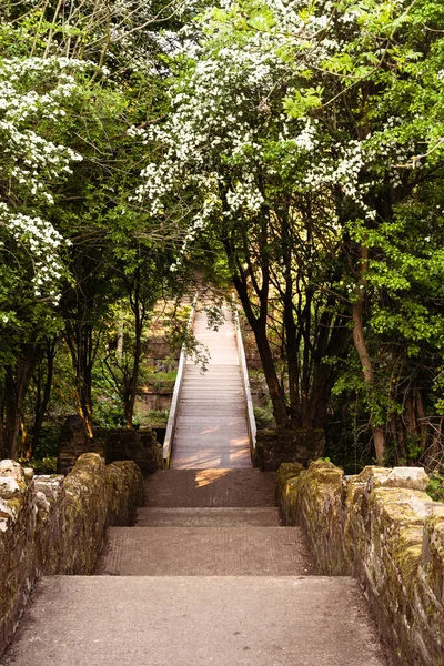 Der Pfad Park Voller Blüte Dearne Valley Country Park Barnsley — Stockfoto