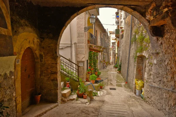 Een Uitzicht Smalle Straat Versierd Met Bloemen Tussen Oude Stenen — Stockfoto