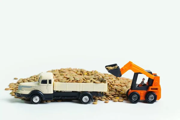 Escavadeira Carrega Caminhão Com Lentilhas Cruas Secas Fundo Branco — Fotografia de Stock