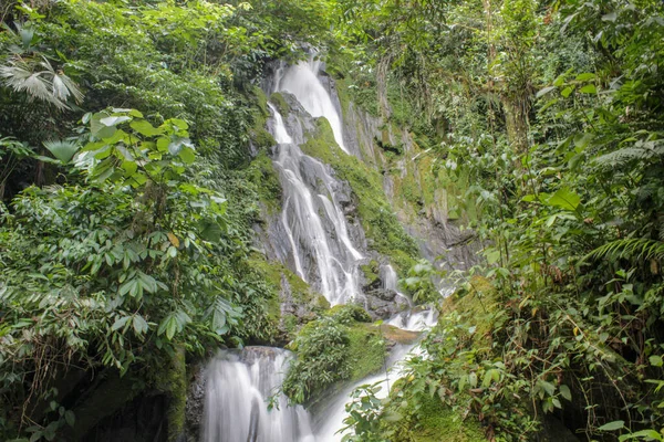 緑の植物や木々が美しい滝 — ストック写真