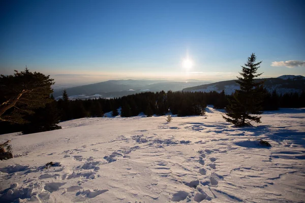 Una Hermosa Vista Campo Nevado Con Árboles Día Soleado —  Fotos de Stock