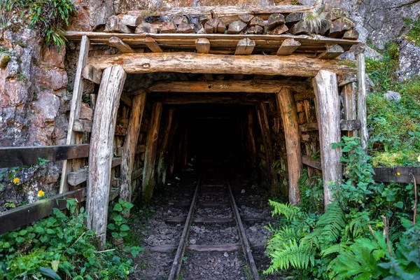 緑に囲まれたトンネルに至る鉄道線路 — ストック写真
