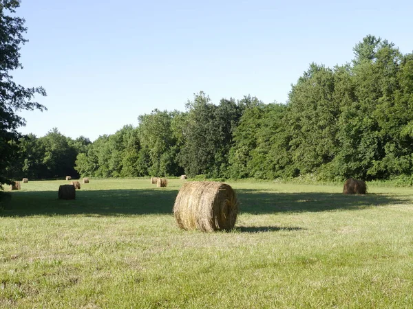 Una Hermosa Toma Fardos Heno Redondos Sentados Campo Agrícola Missouri — Foto de Stock