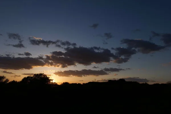 Vacker Utsikt Över Vacker Solnedgång Bakgrunden Träd Silhuetter — Stockfoto