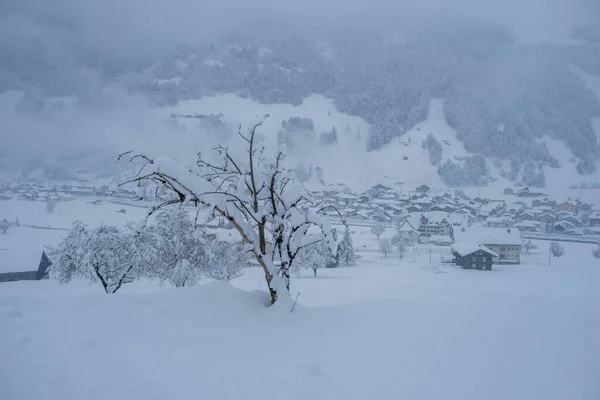 一个晴朗的冬日清晨 在瑞士的山上 覆盖着厚厚的积雪 — 图库照片