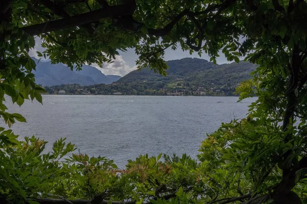 Μια Όμορφη Θέα Της Λίμνης Como Μέσα Από Πράσινα Φύλλα — Φωτογραφία Αρχείου