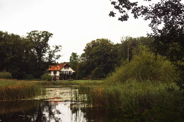 Una Bella Casa Isolata Circondata Alberi Lago Nei Paesi Bassi — Foto Stock