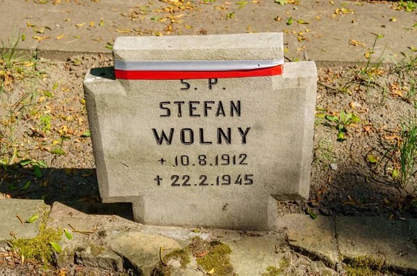 Polonya Dünya Savaşı Askeri Stefan Wolny Nin Cytadela Parkındaki Bir — Stok fotoğraf