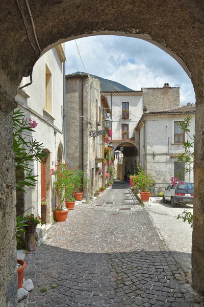 Uma Vista Rua Estreita Adornada Com Flores Entre Antigas Casas — Fotografia de Stock