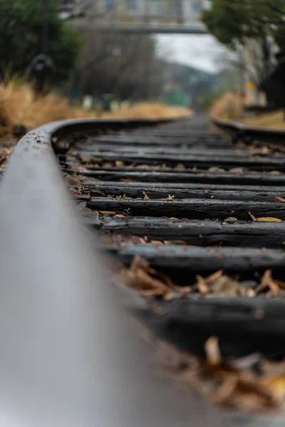 森の近くに建設された鉄道の垂直ショット — ストック写真