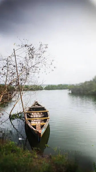 手前の川と木の枝に木製のボートの垂直ショット — ストック写真