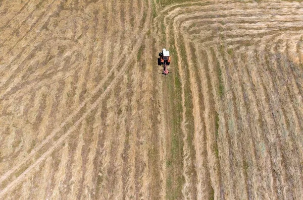 Hileras Césped Segado Campo Cosecha Vista Del Dron — Foto de Stock