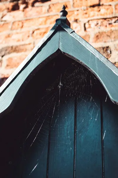Lähikuva Hämähäkinverkosta Kukkarossa — kuvapankkivalokuva