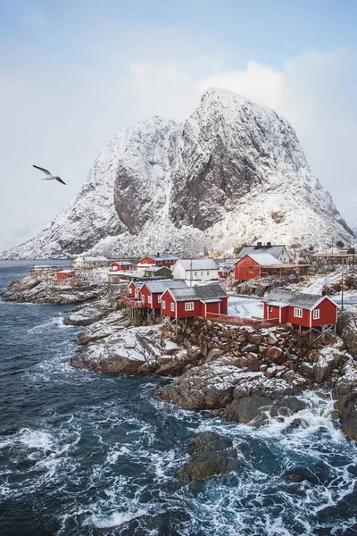 挪威罗浮敦群岛水边白雪覆盖的山脉背景上的一座红色房屋的垂直拍摄 — 图库照片