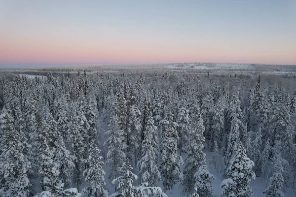 Luftaufnahme Einer Hütte Einem Verschneiten Wald — Stockfoto