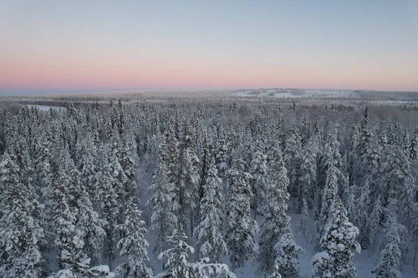 Una Vista Aérea Una Cabaña Bosque Nevado —  Fotos de Stock