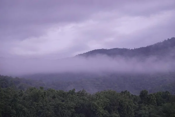 Ein Grüner Bewaldeter Berg Hinter Nebel Unter Wolkenverhangenem Himmel — Stockfoto