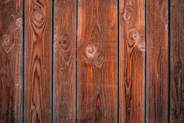 Kahverengi desenli kalaslar.