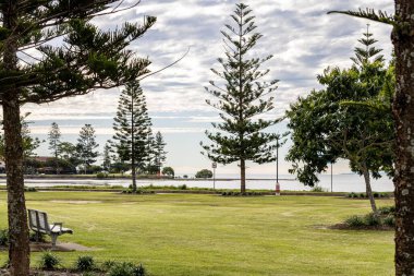 Denizin arka planında ağaçlarla çevrili yeşil alan manzarası.