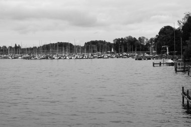 Kasvetli bir günde, ormanın yakınındaki bir gölün gri pulu.