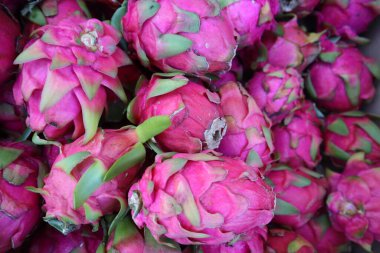 Hawaii 'deki Kona çiftçi pazarında ejderha meyvelerinin yakın çekimi.