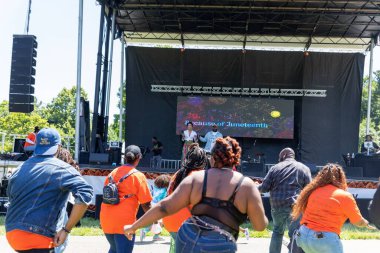 Güneşli bir günde Prospect Park Brooklyn 'de düzenlenen 13. Haziran kutlamasında bir kalabalık.