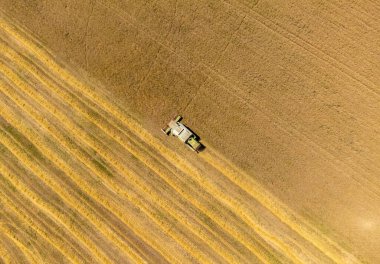 Tarlada buğday hasat etmek İHA 'dan görülen bir karışım ile