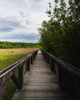Yeşilliklerle çevrili yeşil bir alanda dikey bir tahta yol görüntüsü.