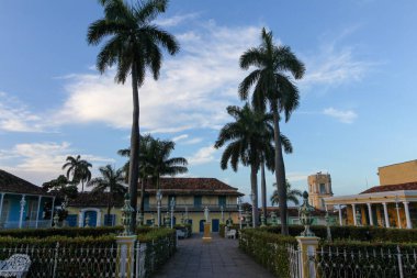 Mavi gökyüzünün altında Trinidad 'da güzel bir palmiye ağacı ve bina manzarası.