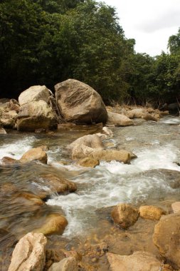 Hindistan 'ın batısındaki bir ormanda akan kayalık bir derenin dikey görüntüsü.