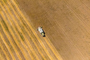 Tarlada buğday, buğday, buğday ve çiftçiliğin birleşimiyle manzara