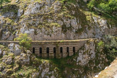 Yeşilliklerle kaplı güzel bir dağ