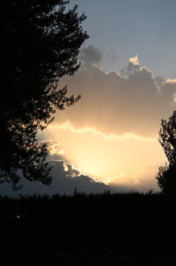 Çiftlik silueti ve günbatımı manzaralı ağaçlar.