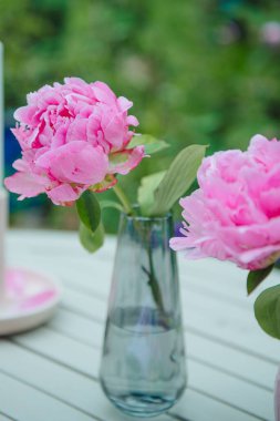 Şeffaf cam vazoda güzel bir pembe şakayık çiçeğinin dikey çekimi.