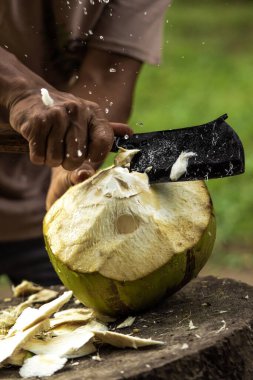 Hindistan cevizi kesmenin güzel yakın çekimi.