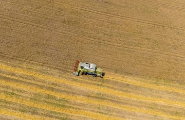 Tarlada buğday, buğday, buğday ve çiftçiliğin birleşimiyle manzara