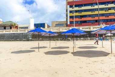 Salvador, Bahia, Brezilya 'daki Farol da Barra plajında kumlu bir dizi plaj şemsiyesi..
