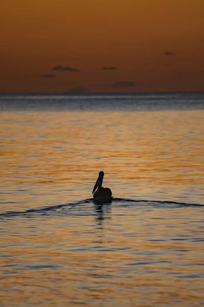 Vertical Shot Silhouette Heron Lake Sunset — Stock Photo, Image