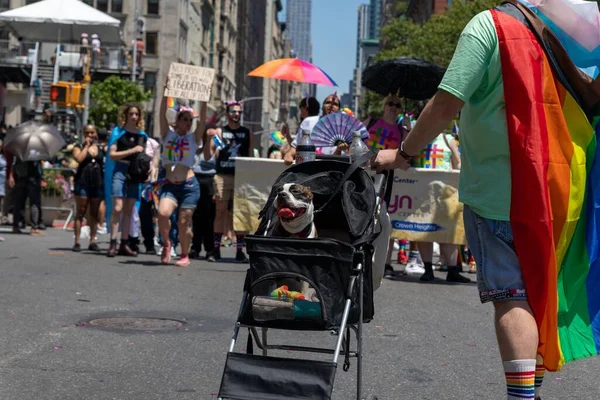 Folket Som Firar Pride Month Parade 2022 Gatorna New York — Stockfoto