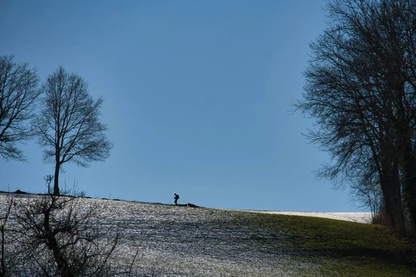 Primer Plano Campo Nevado Árboles Una Temporada Invierno Suiza — Foto de Stock