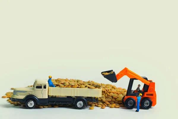 Escavadeira Carrega Caminhão Com Lentilhas Secas Cruas Trabalhadores Instruí Fundo — Fotografia de Stock