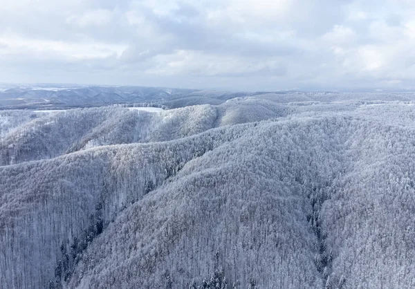 雪に覆われた山々や木々が美しい冬の風景の空中写真 — ストック写真