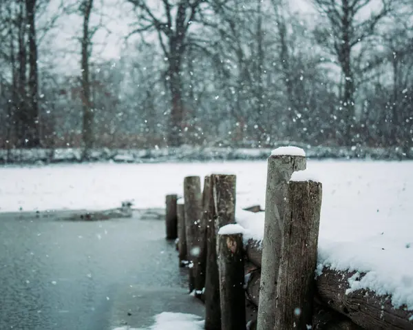 Μια Εναέρια Λήψη Μιας Όμορφης Λίμνης Χειμώνα — Φωτογραφία Αρχείου