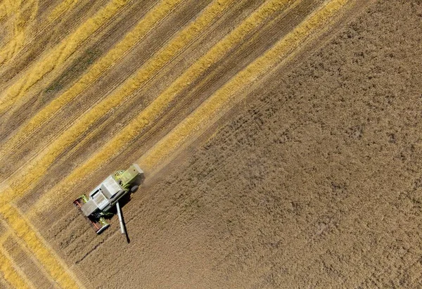 Aerial View Combine Harvesting Wheat Field Crop Ripe — Stock Photo, Image