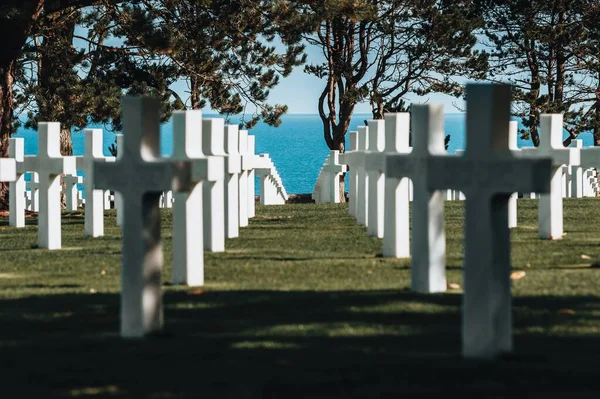 Belo Tiro Galinhas Brancas Cemitério Militar Normandia França — Fotografia de Stock