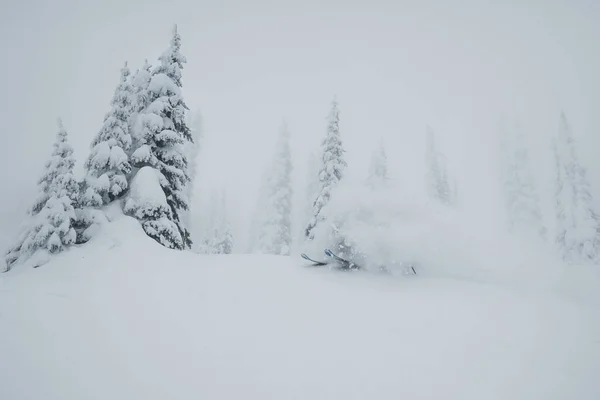 Vue Aérienne Une Belle Forêt Hiver — Photo