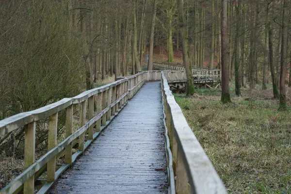 Schöne Aufnahme Eines Alten Holzwegs — Stockfoto