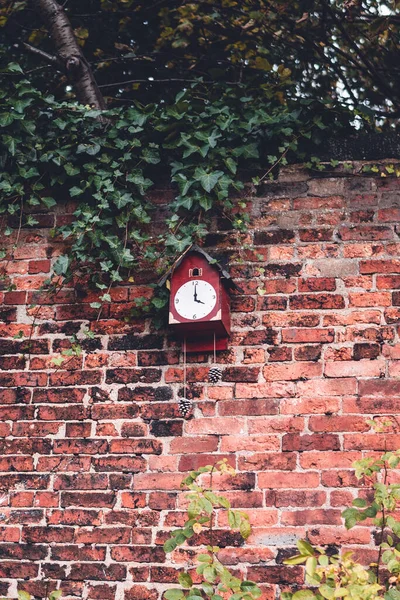 Gros Plan Une Pendule Coucou Rouge Accrochée Mur Briques Thornes — Photo