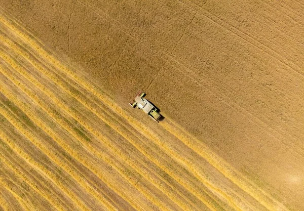 Tarlada buğday hasat etmek İHA 'dan görülen bir karışım ile